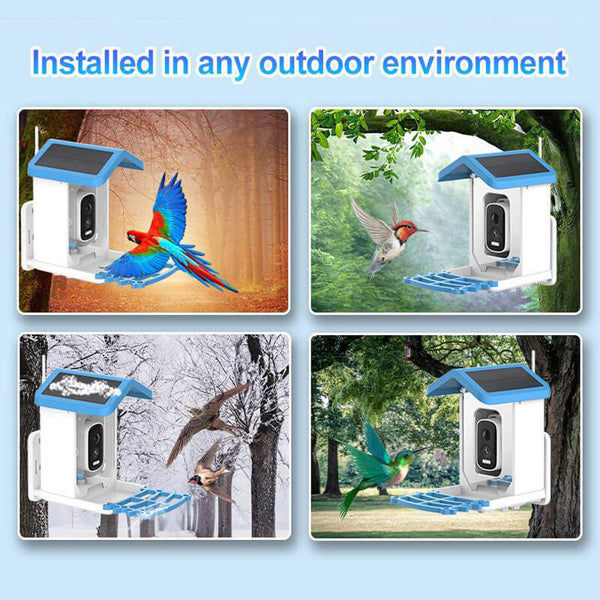 Vogelfutterstation mit Kamera BirdView Pro+ | 2.5K HD & Nachtsicht | KI-Vogelerkennung | Solar & USB | IP65