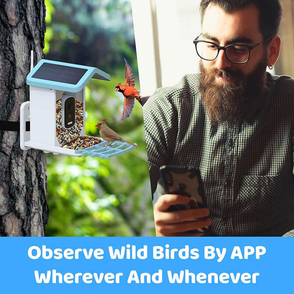Vogelfutterstation mit Kamera BirdView Pro+ | 2.5K HD & Nachtsicht | KI-Vogelerkennung | Solar & USB | IP65