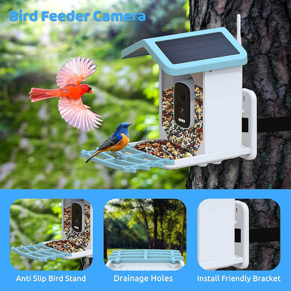 Vogelfutterstation mit Kamera BirdView Pro+ | 2.5K HD & Nachtsicht | KI-Vogelerkennung | Solar & USB | IP65