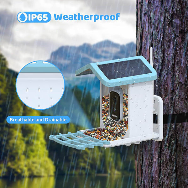 Vogelfutterstation mit Kamera BirdView Pro+ | 2.5K HD & Nachtsicht | KI-Vogelerkennung | Solar & USB | IP65