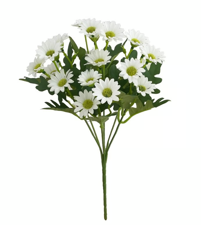 AutumnBloom – Dauerhafte Herbstschönheit ganz ohne Pflege!