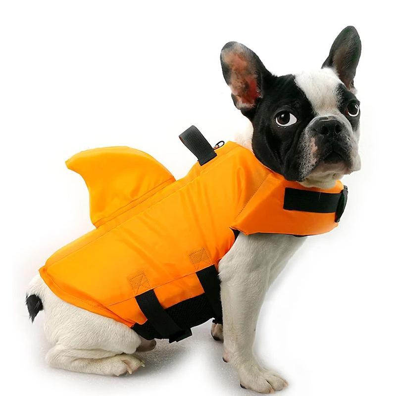 FloatiFur – Die Schwimmweste für glückliche Hunde!