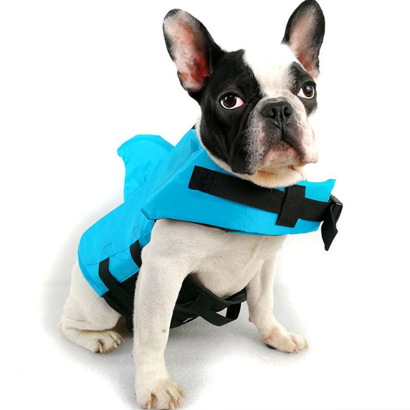 FloatiFur – Die Schwimmweste für glückliche Hunde!