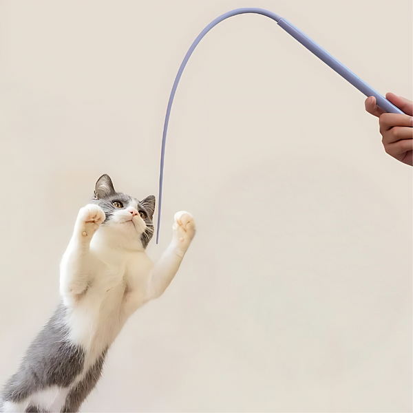 1+1 GRATIS | PawJoy – Die Katzenangel, die Instinkte weckt!