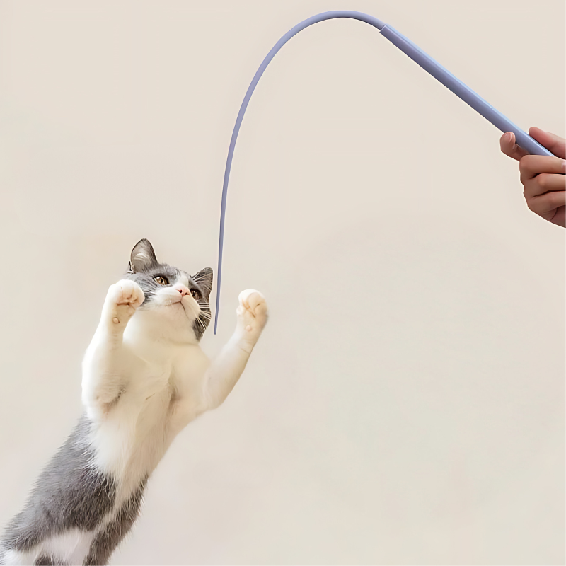 1+1 GRATIS | PawJoy – Die Katzenangel, die Instinkte weckt!