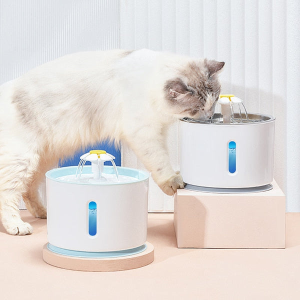 AquaFlow – Frisches, sauberes Wasser für dein Haustier!
