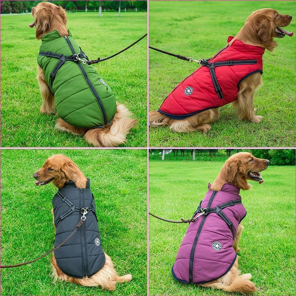 PfotenStil | Wasserdichte Hunde-Winterjacke mit integriertem Geschirr | Reflektierend & Praktisch | Für Herbst & Winter