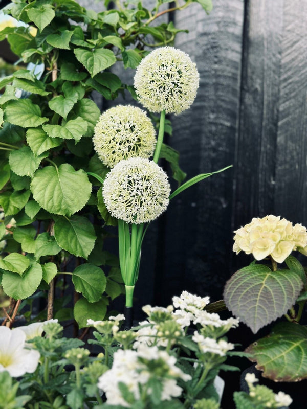 SolarBloom – Magisches Licht für Ihren Garten