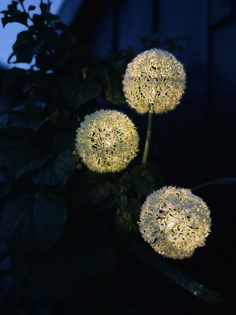 SolarBloom – Magisches Licht für Ihren Garten