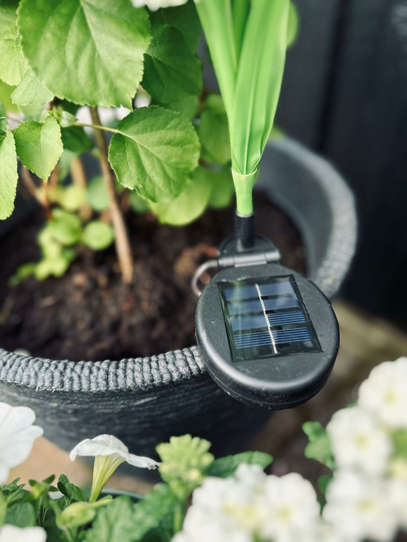 SolarBloom – Magisches Licht für Ihren Garten