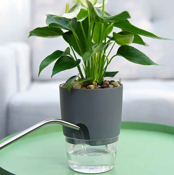 Floriva Selbstbewässernder Blumentopf | Bis zu 20 Tage ohne Gießen | Modernes Design mit Wasserreservoir | 3 Größen