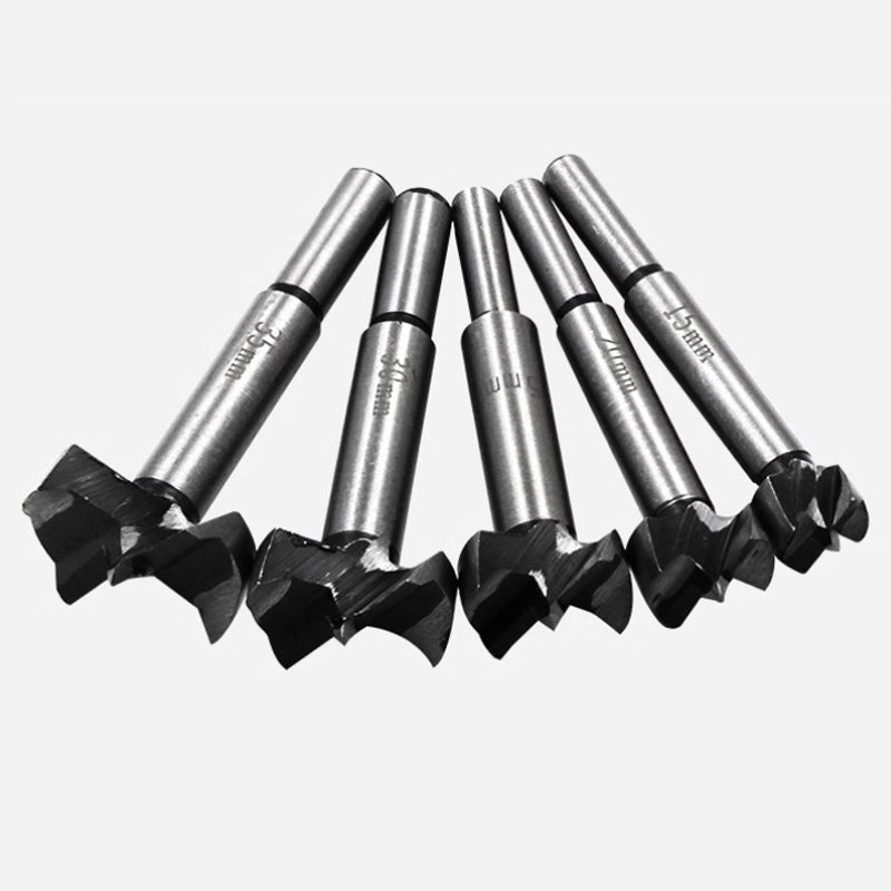 2+3 GRATIS | BitMaster - Forstnerbohrer-Set für Holzarbeiten
