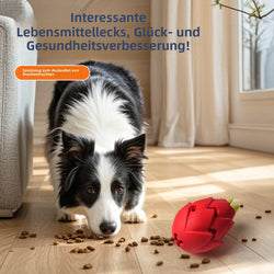 KauSpiel DragoFruit | Beißspielzeug für Hunde | Robust & Zahnfreundlich | Gummi Rot
