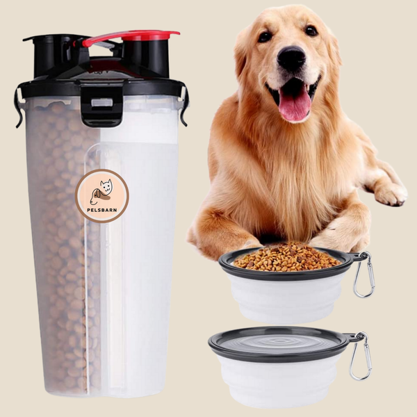 Trinkflasche PawSip 2-in-1 | Für Hunde | Mit Snackfach & Rücklauf-Funktion | BPA-frei & Auslaufsicher